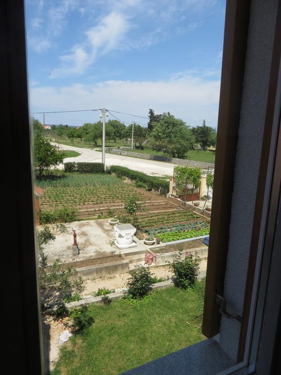 Filipovic Apartments With Pool Biograd Na Moru Exterior photo